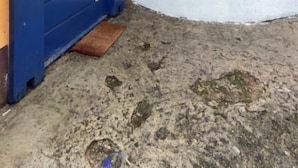 Una puerta azul con detalles blancos, un pequeño porche y una pared con un borde de azulejos decorativos.