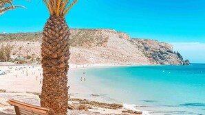 Een strand met een palmboom, helderblauw water en rotsachtige kliffen.
