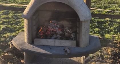 Pet friendly cozy apartment for 2 adults and 2 children. Near Müllerthal