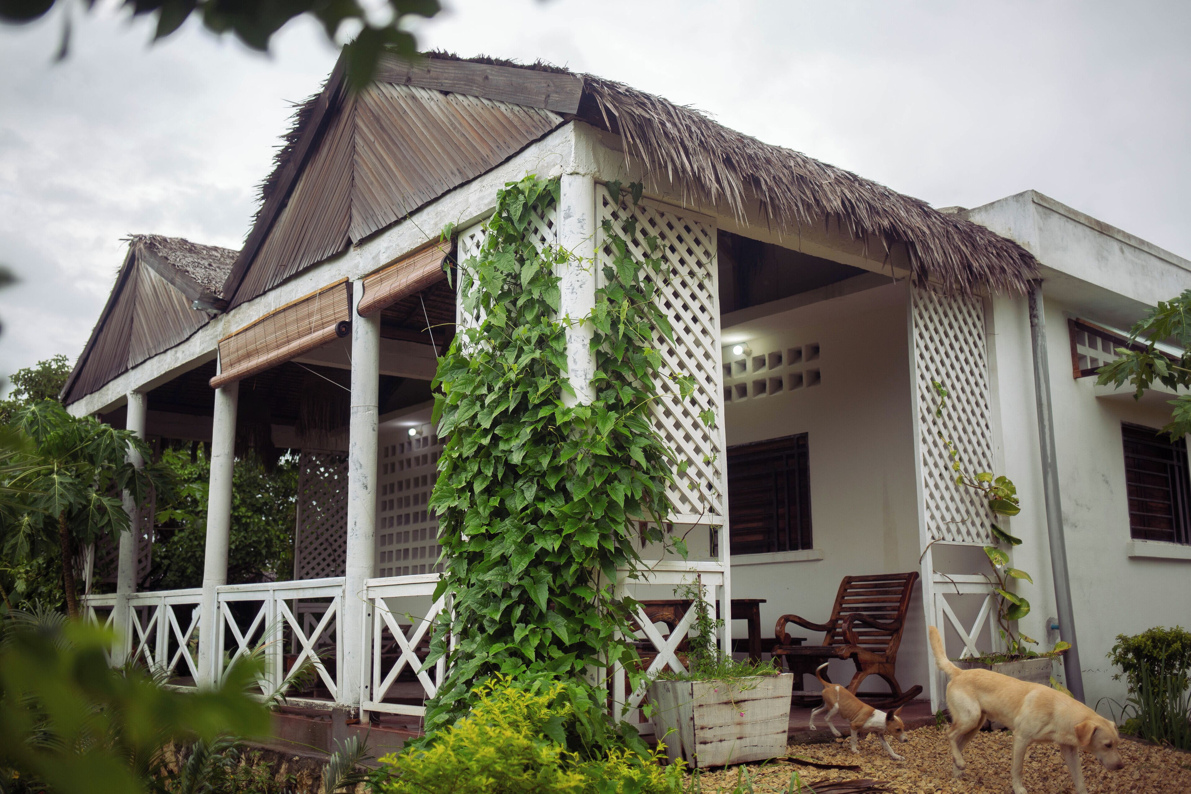 Exterior