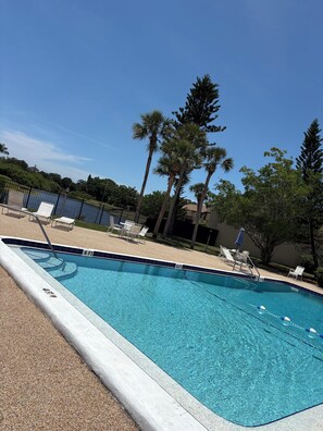 Pool - Cozy 1-bedroom apartment with AC in charming Sarasota (Sarasota)