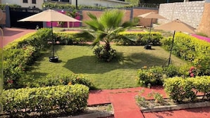 Een verzorgde tuin met een centrale palmboom, omringd door keurig gesnoeide hagen en een geplaveid pad.