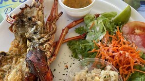A plate with a cooked lobster, a side salad, and a small bowl of sauce. - Le Cocon Bleu - 2 steps from the beach 🌴✨ (Le Moule)