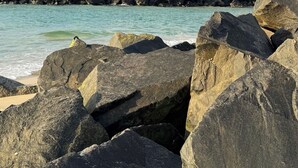 A rocky shoreline with large boulders and a calm sea. - Seabrook – on Main Street, walk to beach & shops (Pottsville)