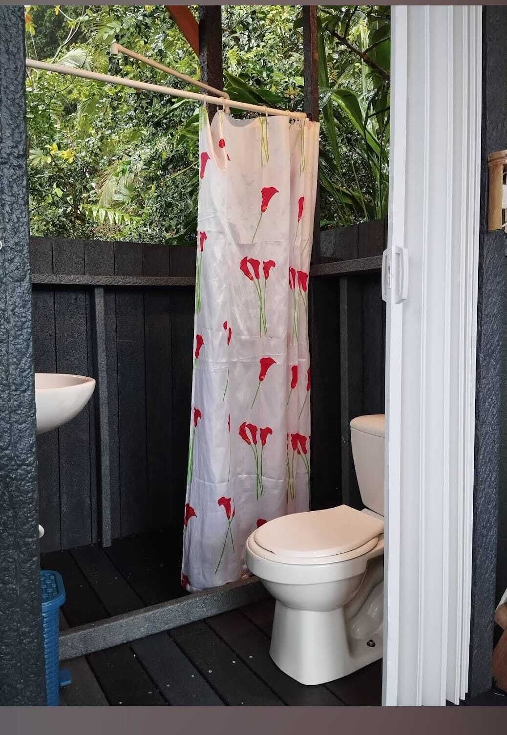 Shower, towels, soap, toilet paper