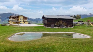 A mountain house with a pond, a wooden cabin, and a yellow building with balconies. - 3 bedroom awesome apartment in Hollersbach (Hollersbach)