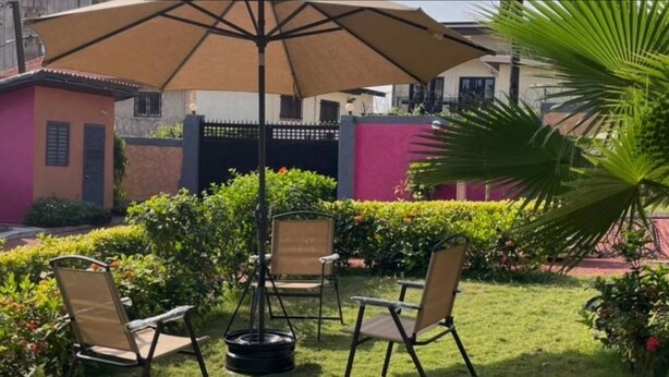 An outdoor seating area with chairs and a table, surrounded by greenery and a palm tree.