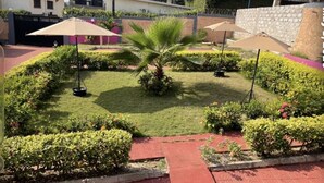 A well-maintained garden with a palm tree, neatly trimmed hedges, and two umbrellas.