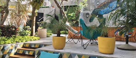 Terraza o patio