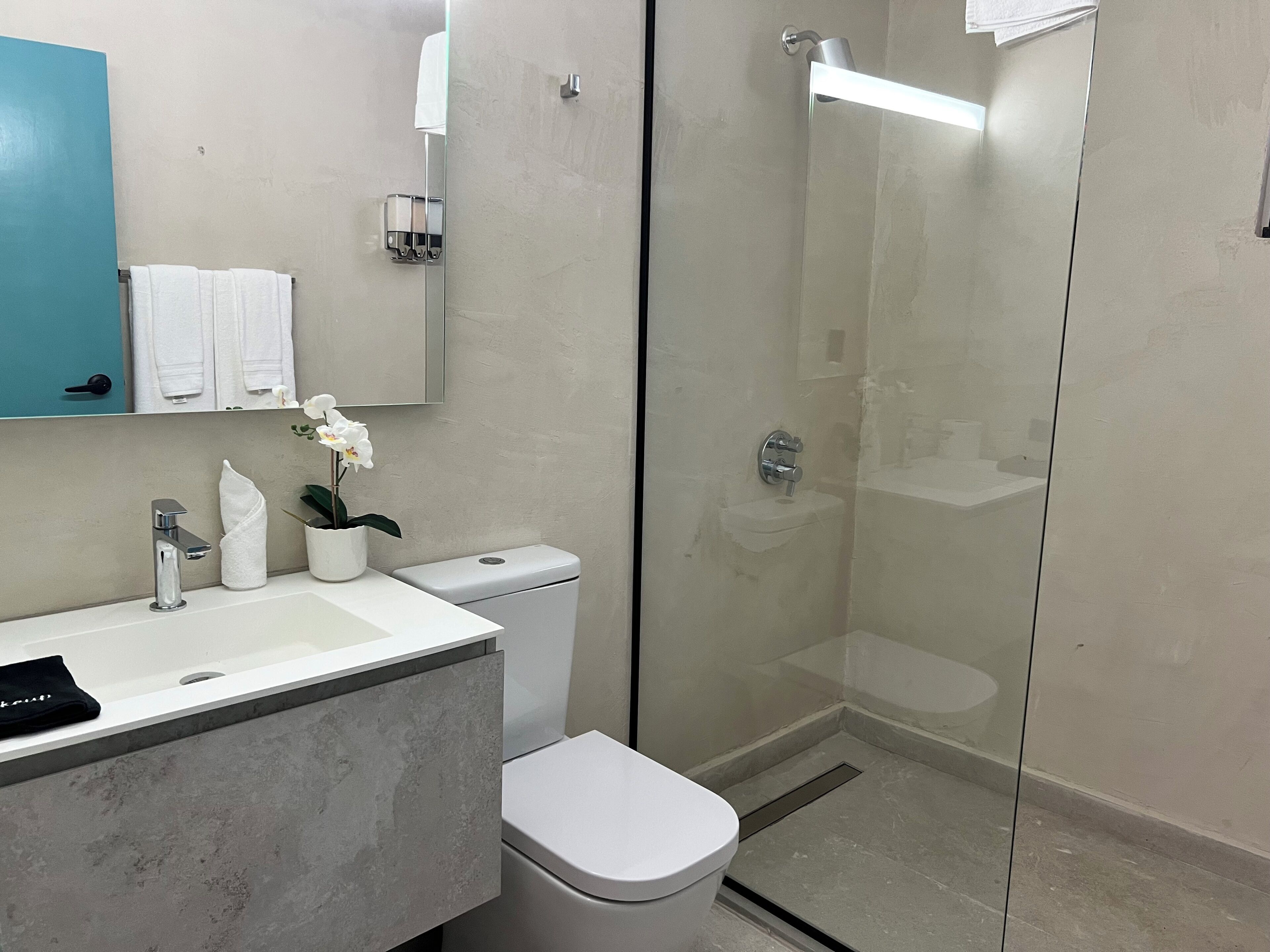 A modern bathroom with a glass-enclosed shower, a white toilet, a sink with a mirror, and a towel rack.