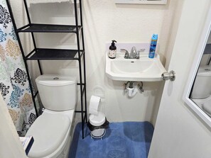 Secador de cabelo, toalhas de banho, papel higiênico 