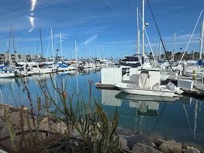 Eine Marina mit mehreren vertäuten Booten, ruhigem Wasser und blauem Himmel.