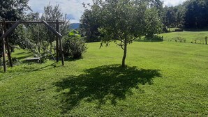 En gräsklädd äng med en gunga och ett träd.