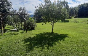 Property grounds - 2 bedroom cozy home in Kuterevo (Kuterevo)