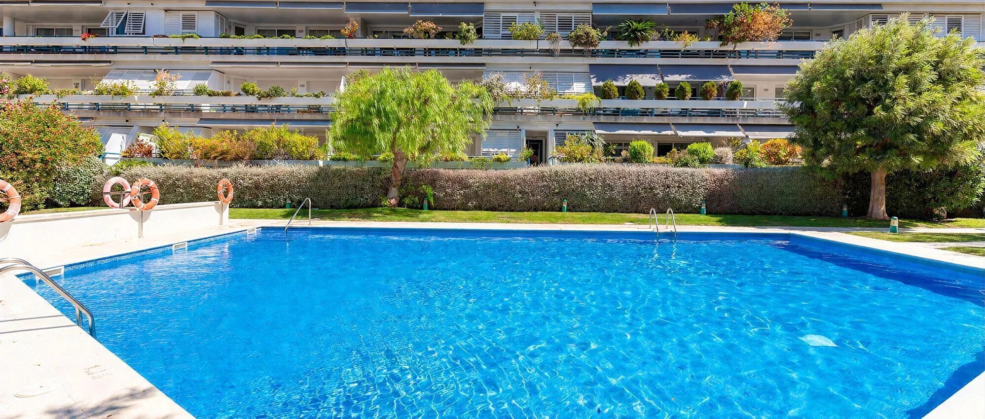 A swimming pool with a clear blue water surface, surrounded by a well-maintained hedge and trees.