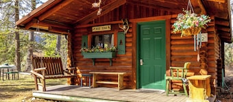 New! Birdsong Log Cabin, Mountain views, firepit