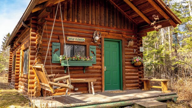 Uma cabana de tronco com uma cadeira de balanço, uma porta verde e uma placa com a inscrição 'Wild Flower'.