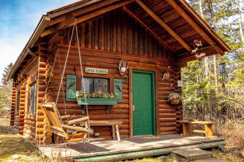 Wildflower Log Cabin with firepit & mountain views