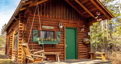 Wildflower Log Cabin with firepit & mountain views