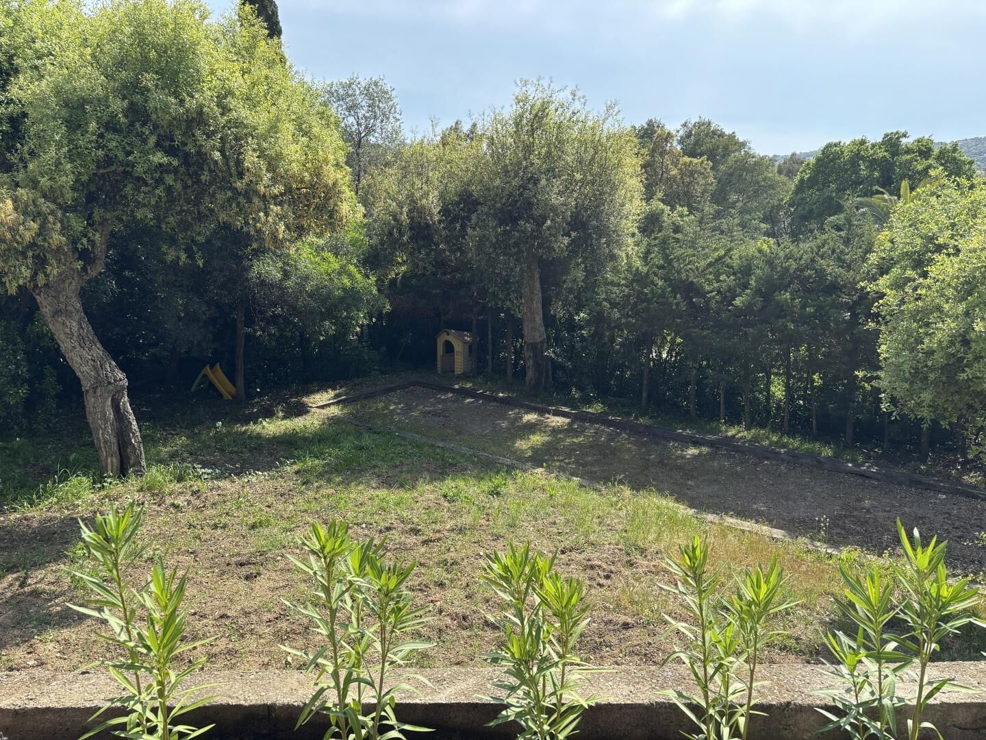 Een tuin met een pad, bomen en een klein gebouw.