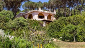 Unclassified image, 2 of 71, button - Villa Teresa Villasimius  (Villasimius)