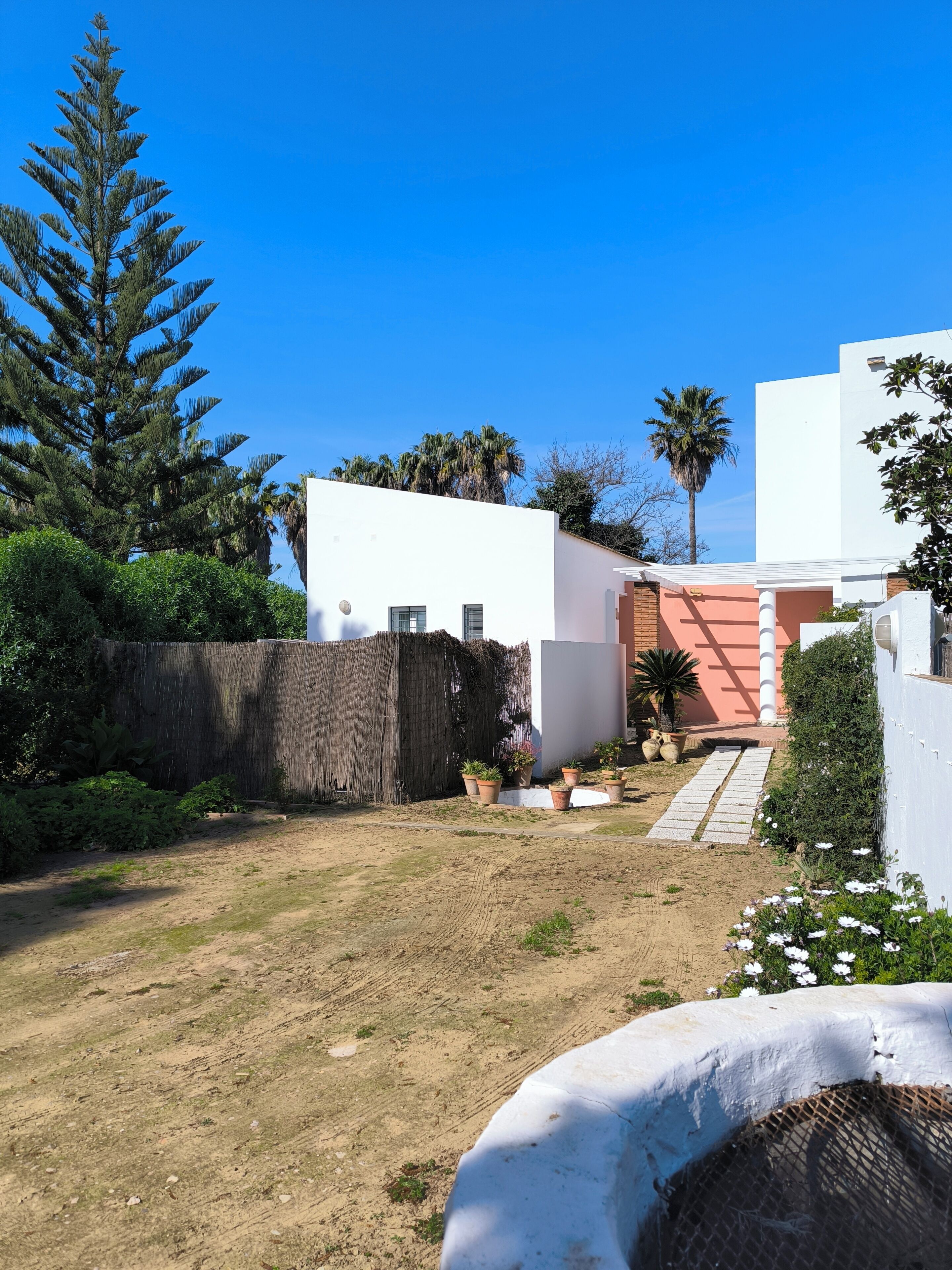 A modern house with a white exterior, a wooden fence, and a garden with potted plants and a palm tree.