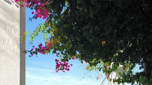 Mesa de comedor al aire libre con una botella de vino, dos copas y platos, dispuesta bajo un árbol con flores rosadas, con vistas a una zona verde y al mar.
