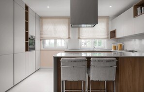 Fridge, microwave, oven, stovetop - Luxurious home in Vabriga (Vabriga)
