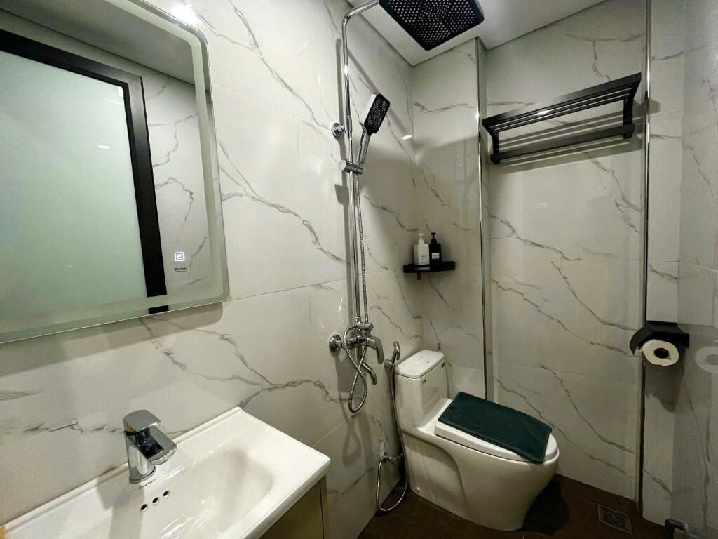 A bathroom with a white sink, a toilet, a shower with a handheld showerhead, a mirror, and a towel rack.