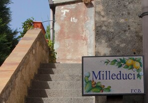 Detalle exterior