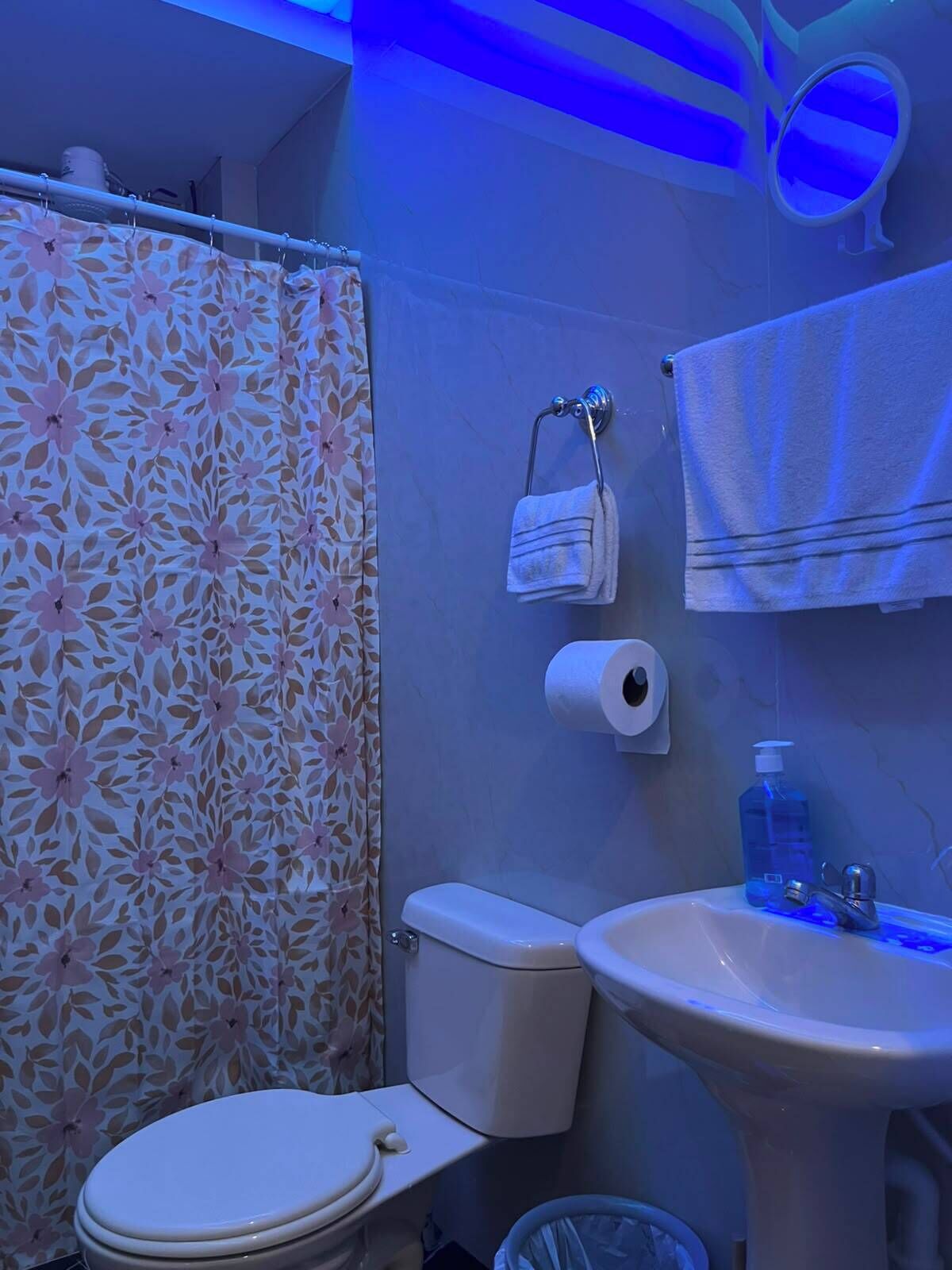 A bathroom with a toilet, sink, and shower curtain.