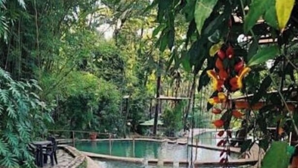 A pool area with a stone pathway, surrounded by lush greenery. - height909hostal (Juayua)