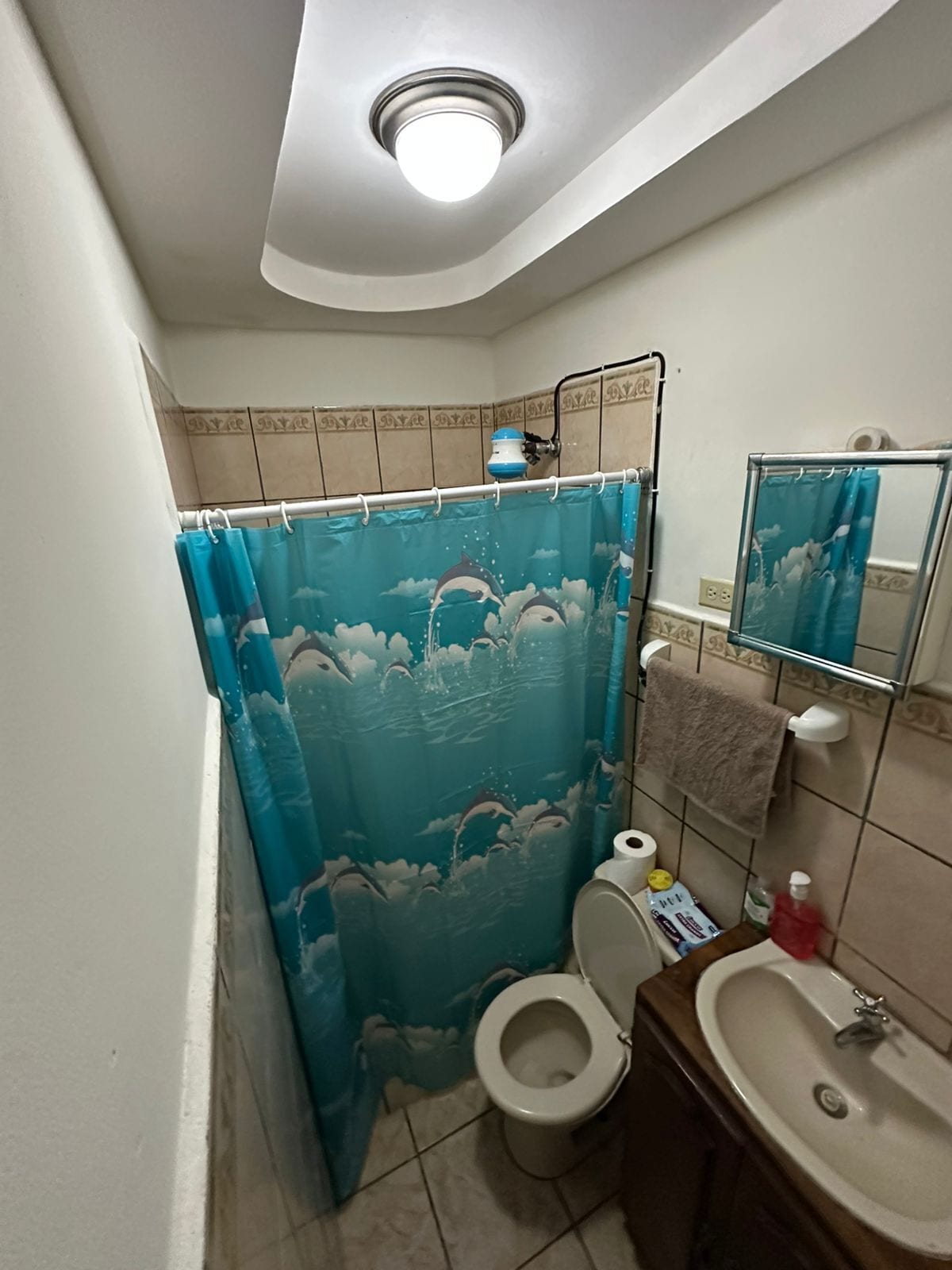 A bathroom with a toilet, sink, and shower curtain.