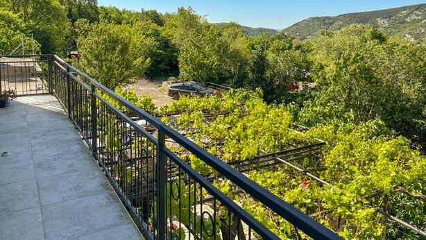 Ein Balkon mit Metallgeländer und Blick auf einen Weinberg.