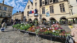 Un bâtiment historique doté de fenêtres en arc de cercle et d’une tour horlogée, entouré d’un marché aux fleurs où sont exposées diverses plantes et fleurs.