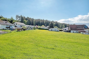 Property grounds - Dog-Friendly Apartment with 2 Balconies and Wi-Fi (Bräunlingen)