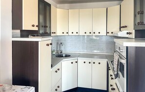 Kühlschrank, Ofen, Herdplatte, Geschirrspüler
