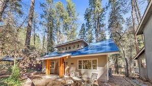 Una casa con techo azul, un porche cubierto con sillas y vistas a árboles altos.