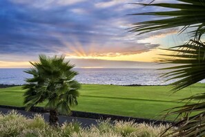 A coastal landscape with a palm tree, a grassy area, and a view of the ocean. - Private Kona Home w/Private saltwater pool and spa (Kailua-Kona)
