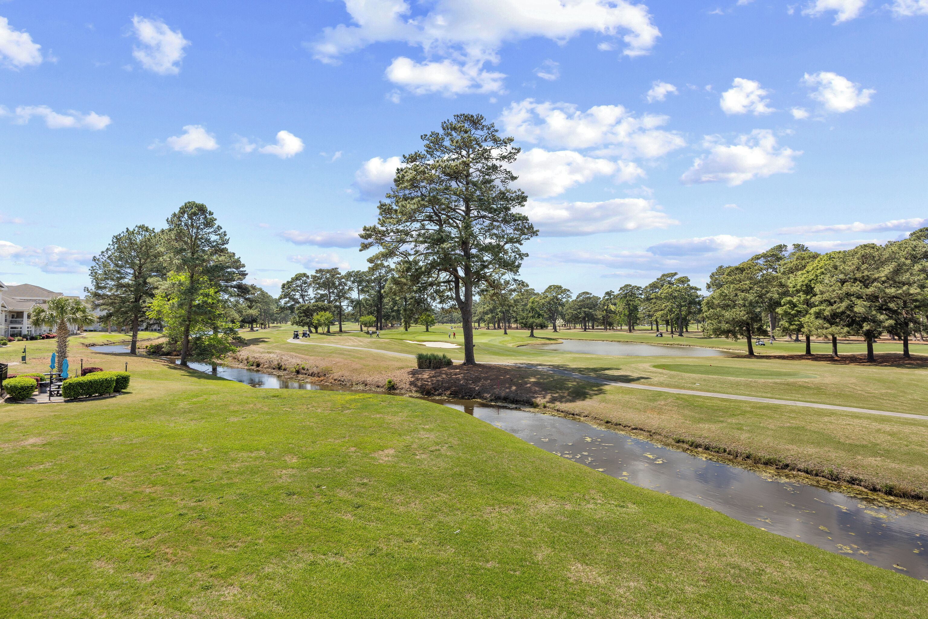 A golf course with a pond, trees, and a clear sky.
