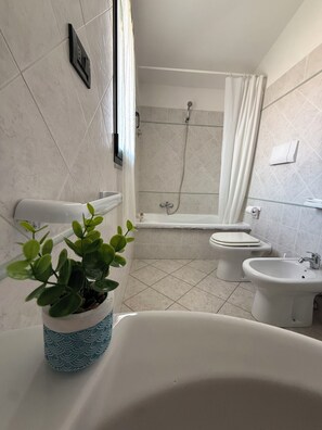 Asciugacapelli, bidet, asciugamani, carta igienica