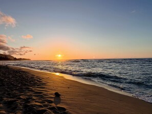 Ranta