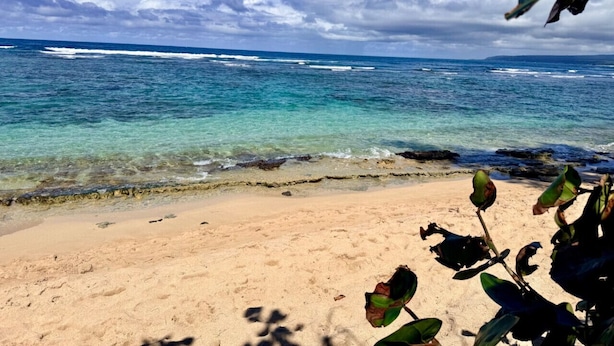 Una playa con agua cristalina, orilla de arena y algo de vegetación.