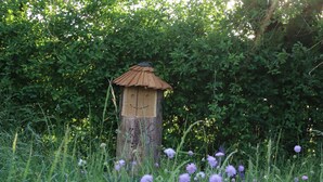 Ein Vogelhaus aus Holz in einem grasbewachsen Feld mit violetten Blüten, umgeben von dichtem Grün.