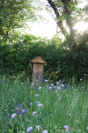 A wooden birdhouse in a grassy field with purple flowers, surrounded by dense green foliage. - Beautiful vacation apartment, idyllic landscape, near Rothenburg, ob der Tauber (74572 Blaufelden)