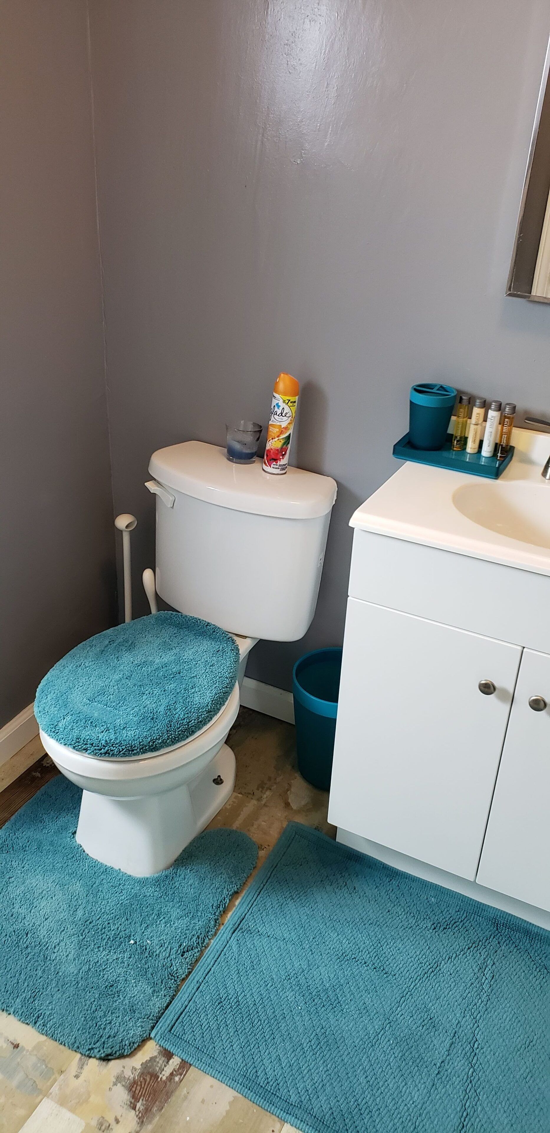 Une salle de bain avec des toilettes, un lavabo et des tapis bleus.