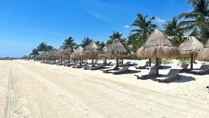 A beach with rows of sun loungers and thatched umbrellas, palm trees, and a clear sky.