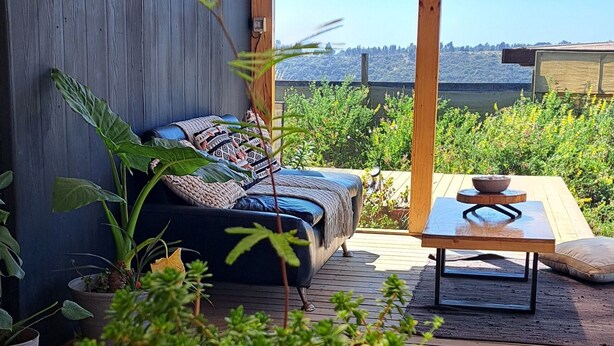 A wooden deck with a sofa, a table, and potted plants.
