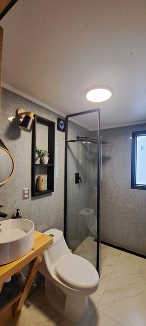 Shower, soap, toilet paper - Romantic Getaway Suite with outdoor jacuzzi (O'Higgins)
