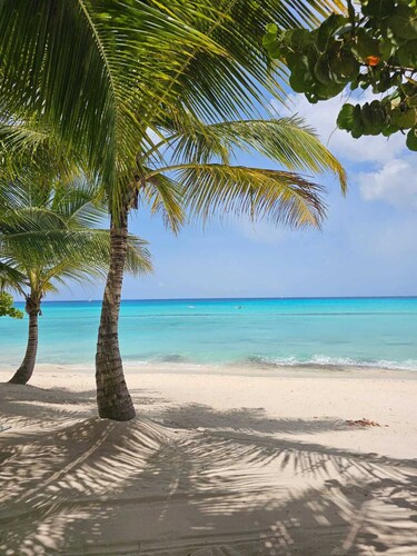 Aqua Esmeralda • Luxury Beachfront • Curazao 103